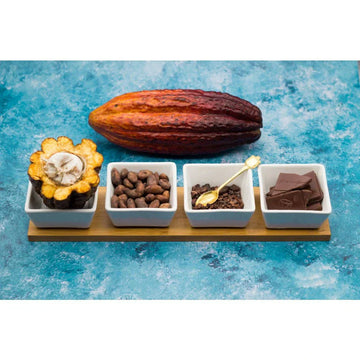 Single-origin organic dark chocolate ingredients displayed on a blue background: whole cacao pod, opened cacao fruit, roasted cacao beans, cacao nibs with golden spoon, and dark chocolate squares in white bowls.