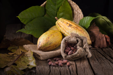 “Fresh cocoa pods with green leaves and a burlap sack of dried cocoa beans on rustic wooden surface.”